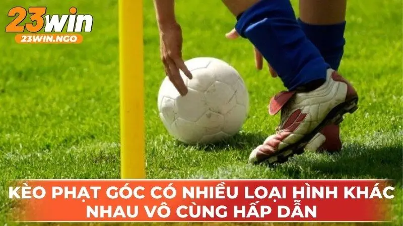 Kèo phạt góc hiện nay có nhiều loại hình khác nhau vô cùng hấp dẫn